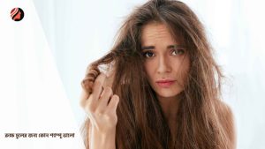 Read more about the article রুক্ষ চুলের জন্য কোন শ্যাম্পু ভালো
