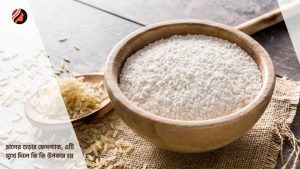 Read more about the article চালের গুড়ার ফেসপ্যাক, এটি মুখে দিলে কি কি উপকার হয়